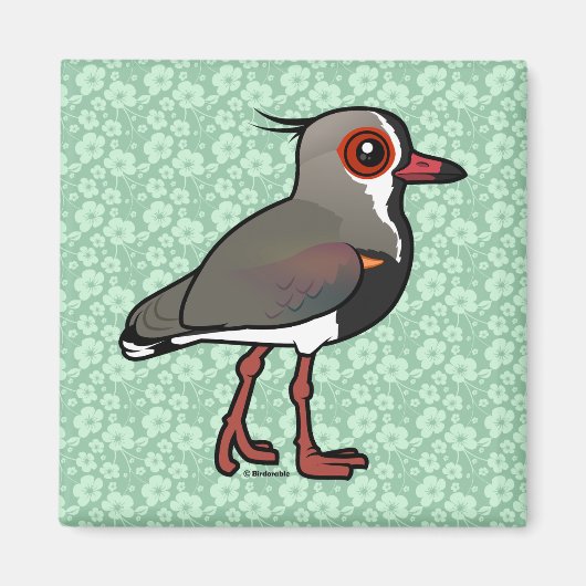 Birdorableタゲリ マグネット (正面)