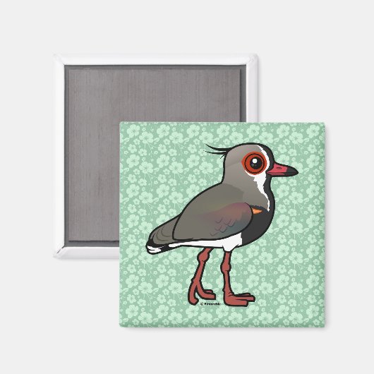 Birdorable Southern Lapwing マグネット (正面/裏面)