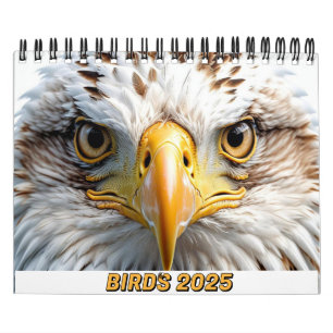 BIRDS 2025カレンダーTWITCHERS喜び！ カレンダー