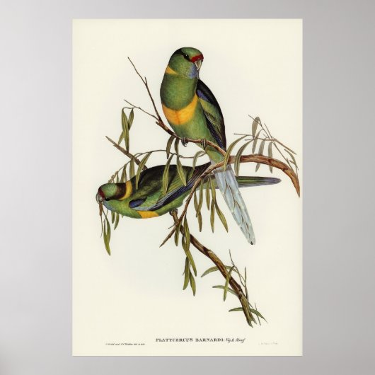 Birds 2 ポスター (正面)