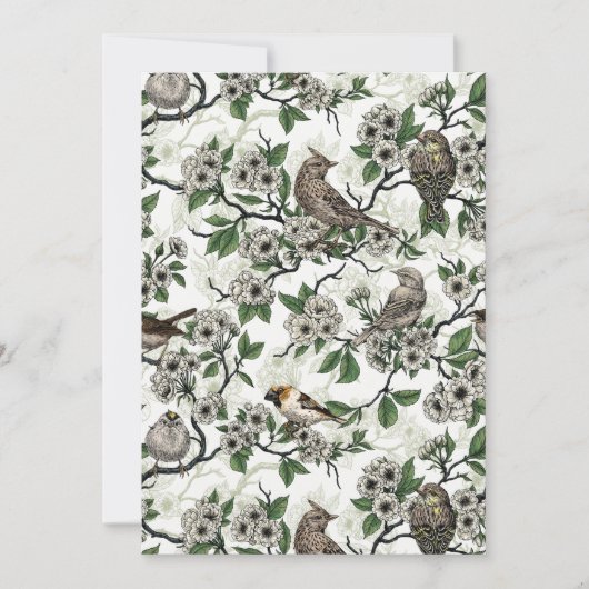 Birds and cherry blossom on white (正面)
