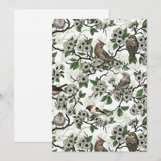 Birds and cherry blossom on white (正面/裏面)
