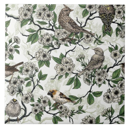 Birds and cherry blossom on white タイル (正面)