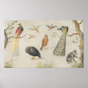 Birds and Monkey - Jan van Kesselファインアートポスター ポスター