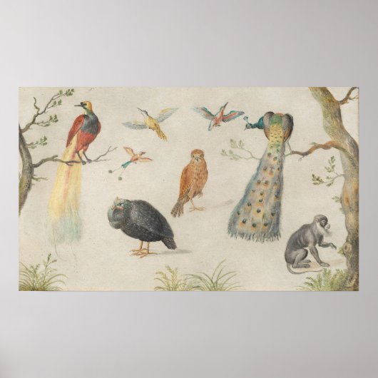 Birds and Monkey - Jan van Kesselファインアートポスター ポスター (正面)
