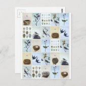 Birds and Nests ポストカード (正面/裏面)