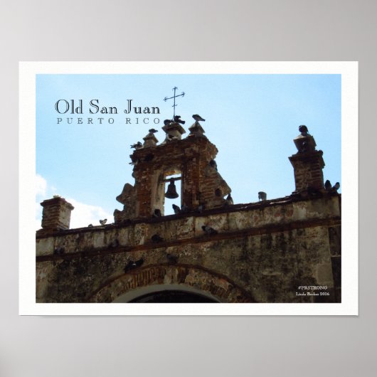 Birds at Old San Juan Puerto Ricoポスター ポスター (正面)