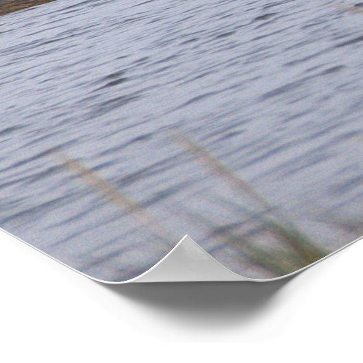 Birds at the Refuge Poster ポスター (角)