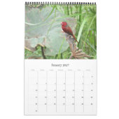 birds australia top end 2025 カレンダー (1月 2027)