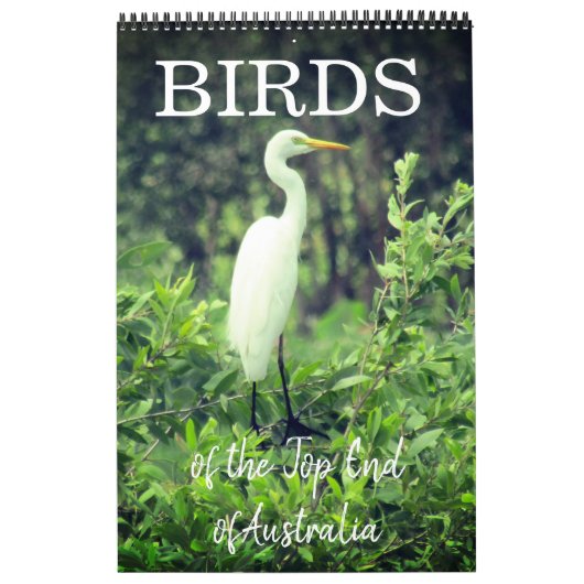 birds australia top end 2025 カレンダー (カバー)