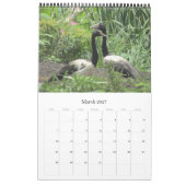 birds australia top end 2025 カレンダー (3月 2027)