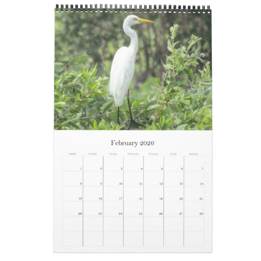 birds australia top end 2025 カレンダー (2月 2026)