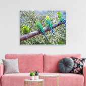 Birds - budgies キャンバスプリント (インサイチュ (リビング))