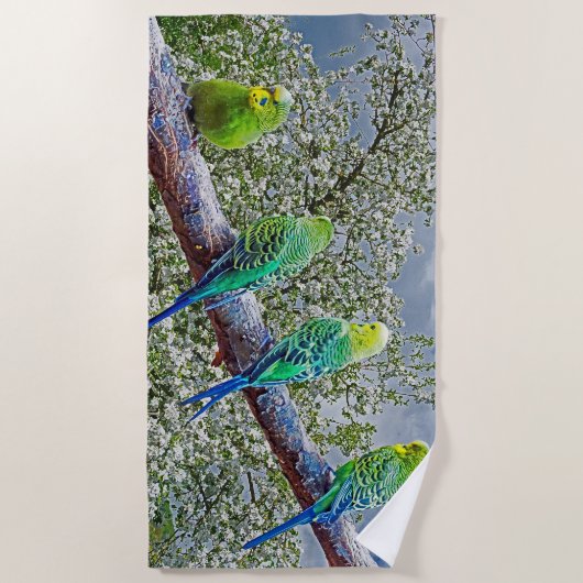 Birds - budgies ビーチタオル (正面)