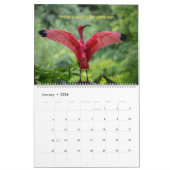 Birds Calendar 2026 - With bible verses カレンダー (1月 2026)