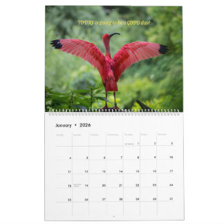 Birds Calendar 2026 - With bible verses カレンダー