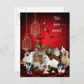 Birds & Cats and Cages Redはがきを移動 案内ポストカード (正面/裏面)