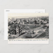 Bird's Eye View、Wildwood、ニュージャージー、ヴィンテージ ポストカード (正面/裏面)