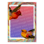 Birds Frame Your Photo誕生日 (正面)