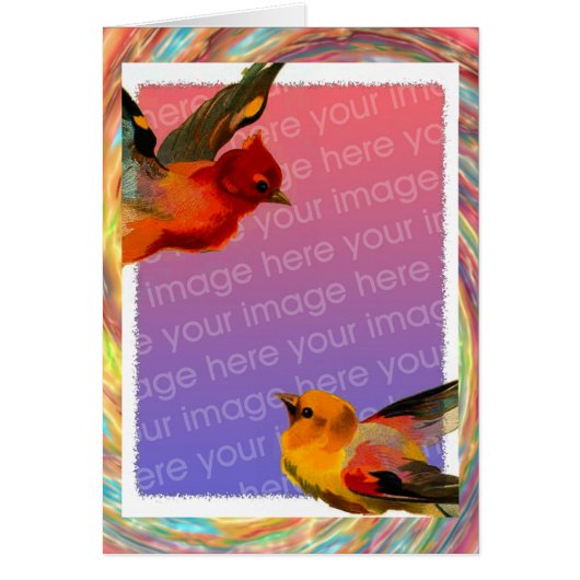 Birds Frame Your Photo誕生日 (正面)