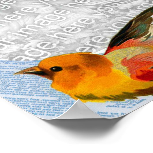 Birds Framing Your Own Photo ポスター (角)