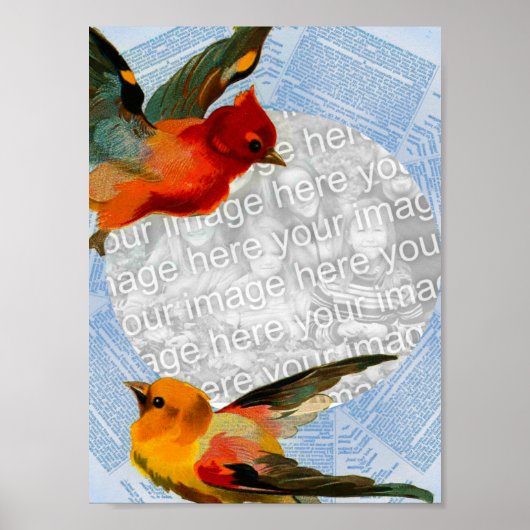Birds Framing Your Own Photo ポスター (正面)
