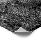 Birds in flight  ポスター (角)