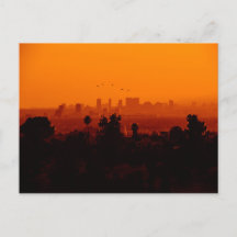 Birds In Flight (ロサンゼルス、カリフォルニア州)