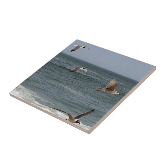 Birds in flight by Shirley Taylor タイル (側面)