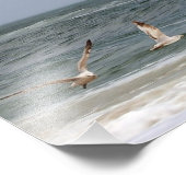 Birds in flight by Shirley Taylor フォトプリント (角)