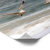 Birds in flight by Shirley Taylor ポスター (角)