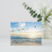 Birds in flight over the ocean ポストカード (スタンド正面)