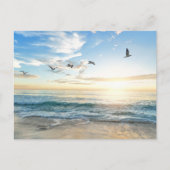 Birds in flight over the ocean ポストカード (正面)