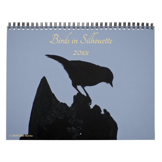 Birds in Silhouette自然写真2026写真 カレンダー (カバー)