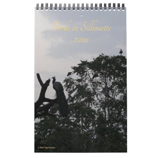 Birds in Silhouette自然写真2026壁 カレンダー (カバー)