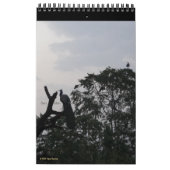 Birds in Silhouette 2026野生生物自然写真 カレンダー (3月 2027)