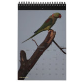 Birds in Silhouette 2026野生生物自然写真 カレンダー (1月 2027)