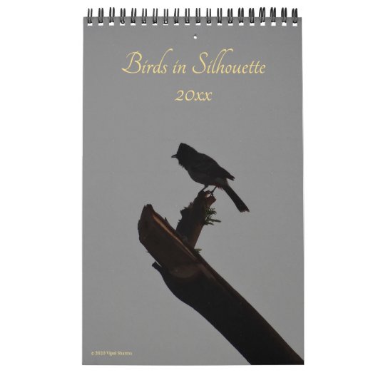 Birds in Silhouette 2026野生生物自然写真 カレンダー (カバー)