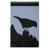 Birds in Silhouette 2026野生生物自然写真 カレンダー (2月 2027)