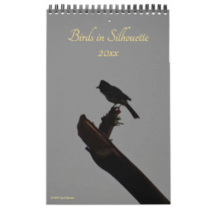 Birds in Silhouette 2026野生生物自然写真 カレンダー
