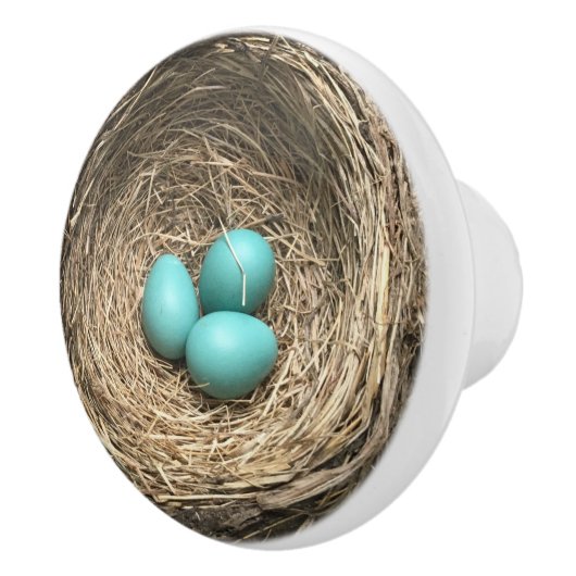 Birds Nest with Blue Eggs セラミックノブ (右)