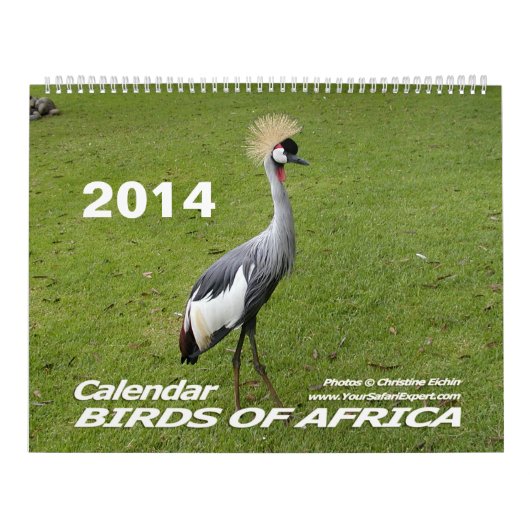 BIRDS OF AFRICAカレンダー2014 （2ページ） カレンダー (カバー)