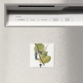 Birds of America (1827) by John James Audubon マグネット (インサイチュ (食洗機))