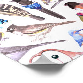 Birds of America- pets and wild birds ポスター (角)