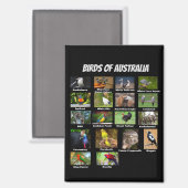 Birds of Australia マグネット (正面/裏面)