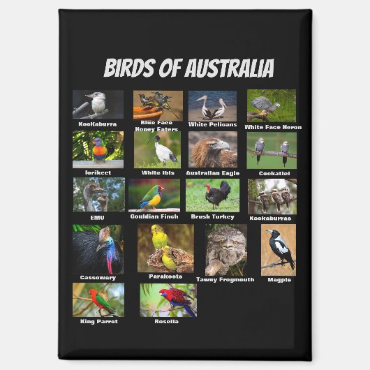 Birds of Australia マグネット (正面)