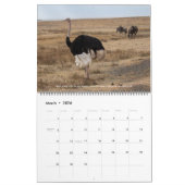 Birds of East Africa 2026 Calendar カレンダー (3月 2026)