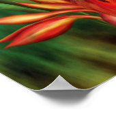 Birds Of Paradise Artポスター/プリント ポスター (角)