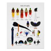 Birds of Paradise chart ポスター (正面)