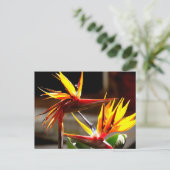 Birds of Paradise : Flower from Mexico シーズンポストカード (スタンド正面)